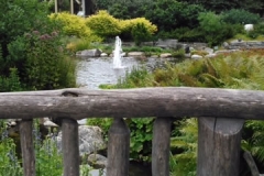 coastal-maine-botanical-gardens-20180905-2918 coastal-maine-botanical-gardens-20180905-2918