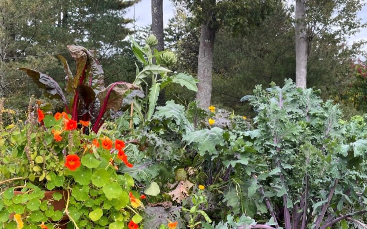 nehtn-harvest-foraging-20251119