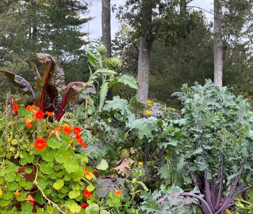 nehtn-harvest-foraging-20251119