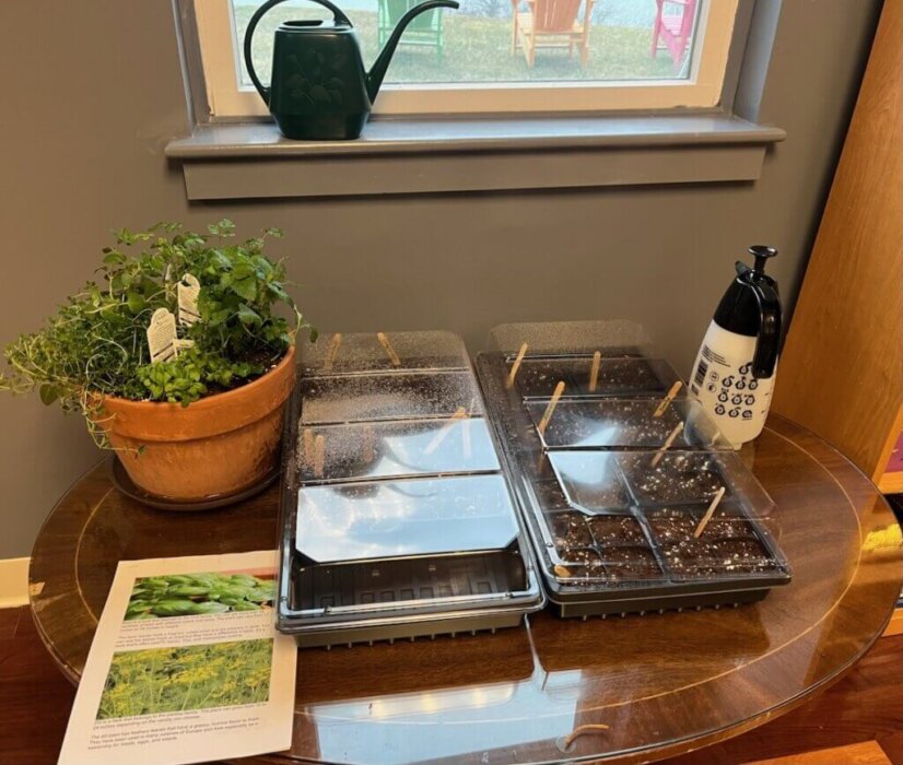 nehtn-seed-propagation-20251119-002